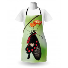 Open Cocoon Apron