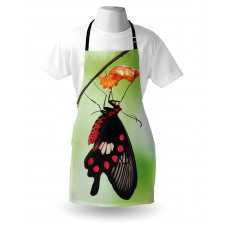 Open Cocoon Apron