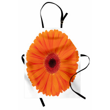 Vivid Flower of Gerbera Apron