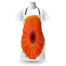 Vivid Flower of Gerbera Apron