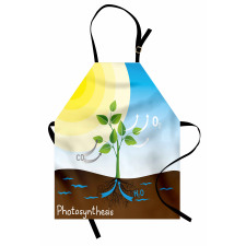 Sun Molecule Chain Apron