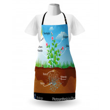 Plant Diagram Style Apron