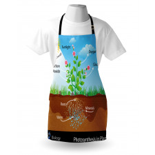 Plant Diagram Style Apron