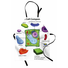 Cartoon Science Apron