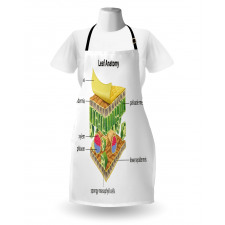 Leaf Names Theme Apron