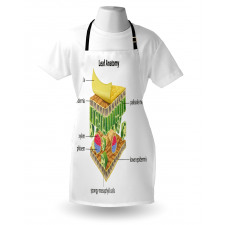 Leaf Names Theme Apron