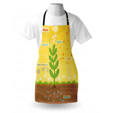 Cartoon Oxygen Sun Apron