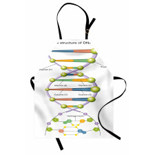 Öğretici Mutfak Önlüğü Gen ve DNA