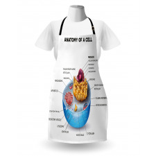 Microscopic Parts Apron