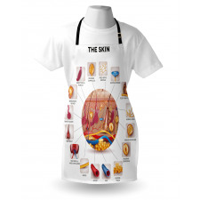 Skin Anatomy Veins Apron