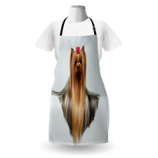 Groomed Hair Apron