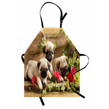 Hayvan Mutfak Önlüğü Çiçekler ve Sevimli Pug Köpek Yavruları