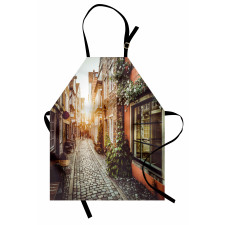 Scenes from Europe Vintage Apron