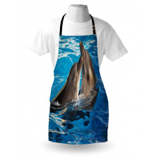 Aqua Show Photography Apron