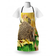 Little Hedgehog Apron