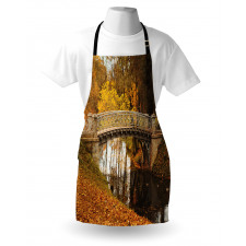 Old Bridge in Fall Forest Apron