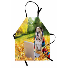 Hayvan Mutfak Önlüğü Yapraklı Zeminde Ekrana Bakan Üşümüş Bulldog