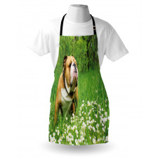 Blossom Daisies Apron