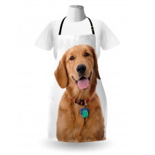 Collar Tags Apron