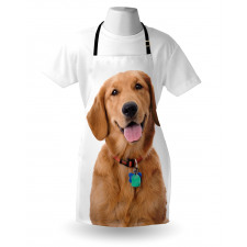 Collar Tags Apron