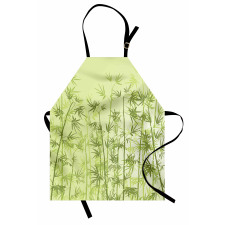 Tropical Growth Forest Apron