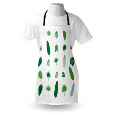 Tree Species Nature Apron