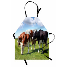 Cows Grazing on Pasture Apron