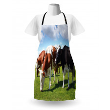 Cows Grazing on Pasture Apron