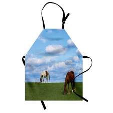 Horses Grazing Meadow Apron