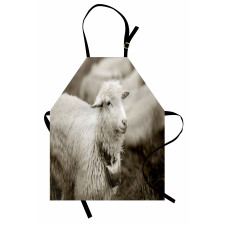Fluffy Wooly Sheep Herd Apron