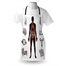 Organs Infographic Image Apron