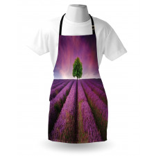 Lavender Fields and Tree Apron