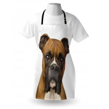 Hayvanlar Mutfak Önlüğü Buruşuk Yüzlü Köpek Portresi Kahverengi