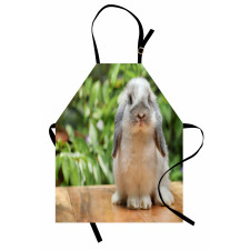 Photo of Holland Lop Rabbit Apron