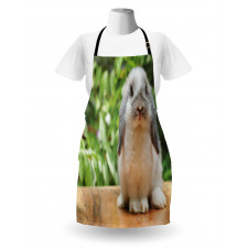 Photo of Holland Lop Rabbit Apron