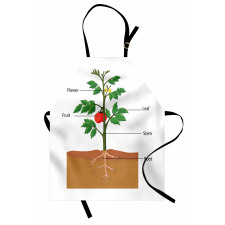 Parts of a Tomato Plant Apron