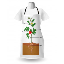 Parts of a Tomato Plant Apron