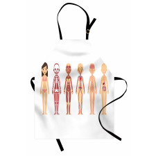 Female Body Anatomy Chart Apron