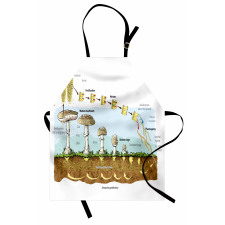 Life Cycle of Mushrooms Apron