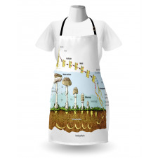 Life Cycle of Mushrooms Apron