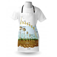 Life Cycle of Mushrooms Apron