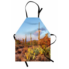 Cacti in Sonoran Desert Apron