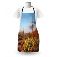 Cacti in Sonoran Desert Apron