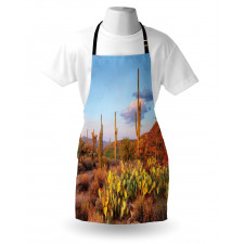 Cacti in Sonoran Desert Apron