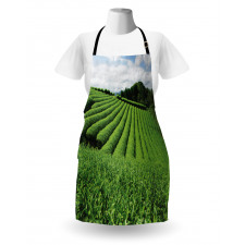 Sunny Landscape Tea Fields Apron