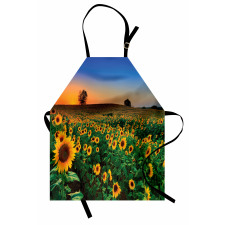 Flower Field at Sunset Apron