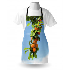 Succulent Apricots on Tree Apron