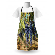 Rows of Wine Fruits in Italy Apron