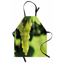 Bunch of Fruits Hanging Photo Apron