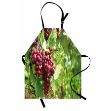 Bunch of Wine Fruits Foliage Apron